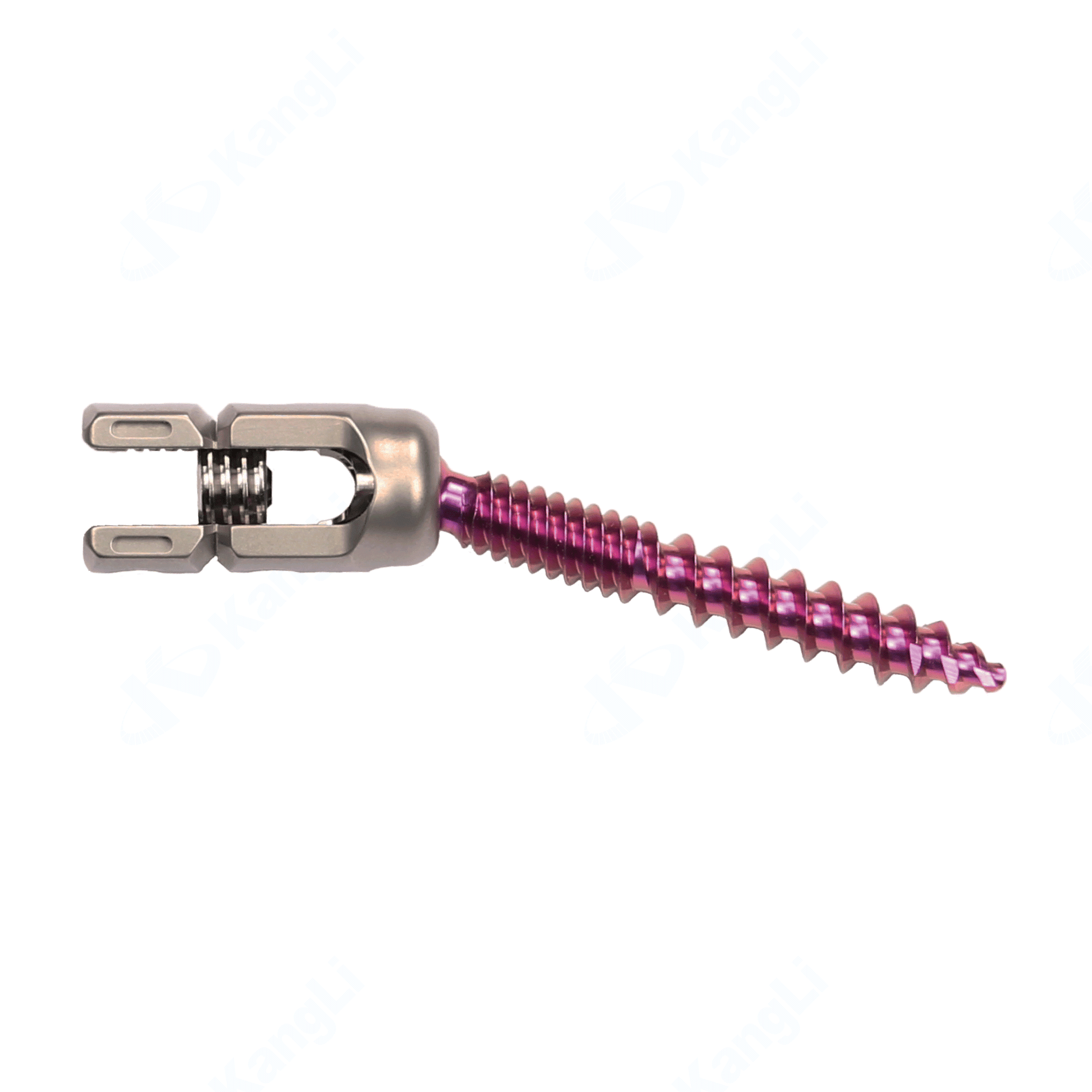 Prodorth Fenestrated Pedicle Screws