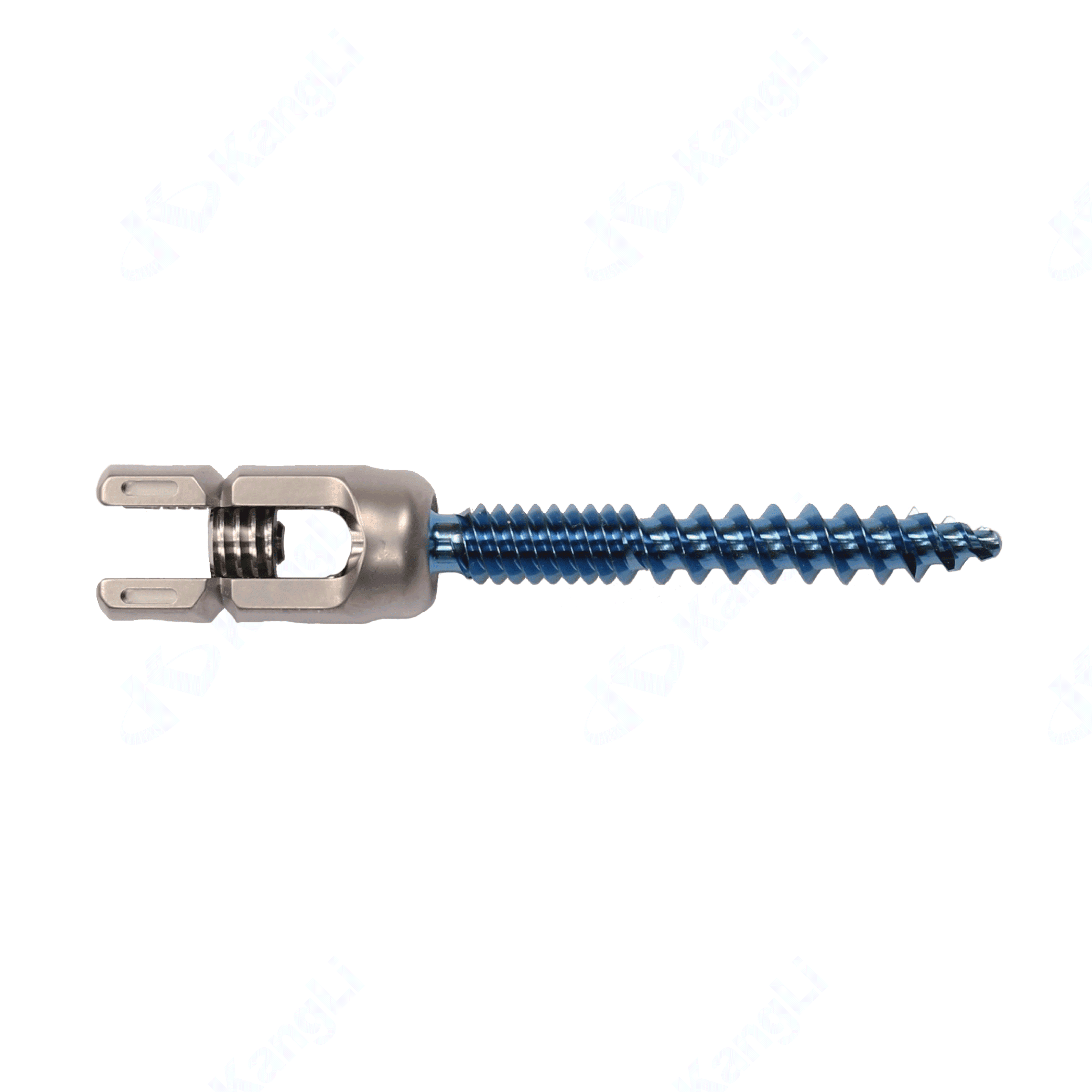 Prodorth Hybrid Pedicle Screws