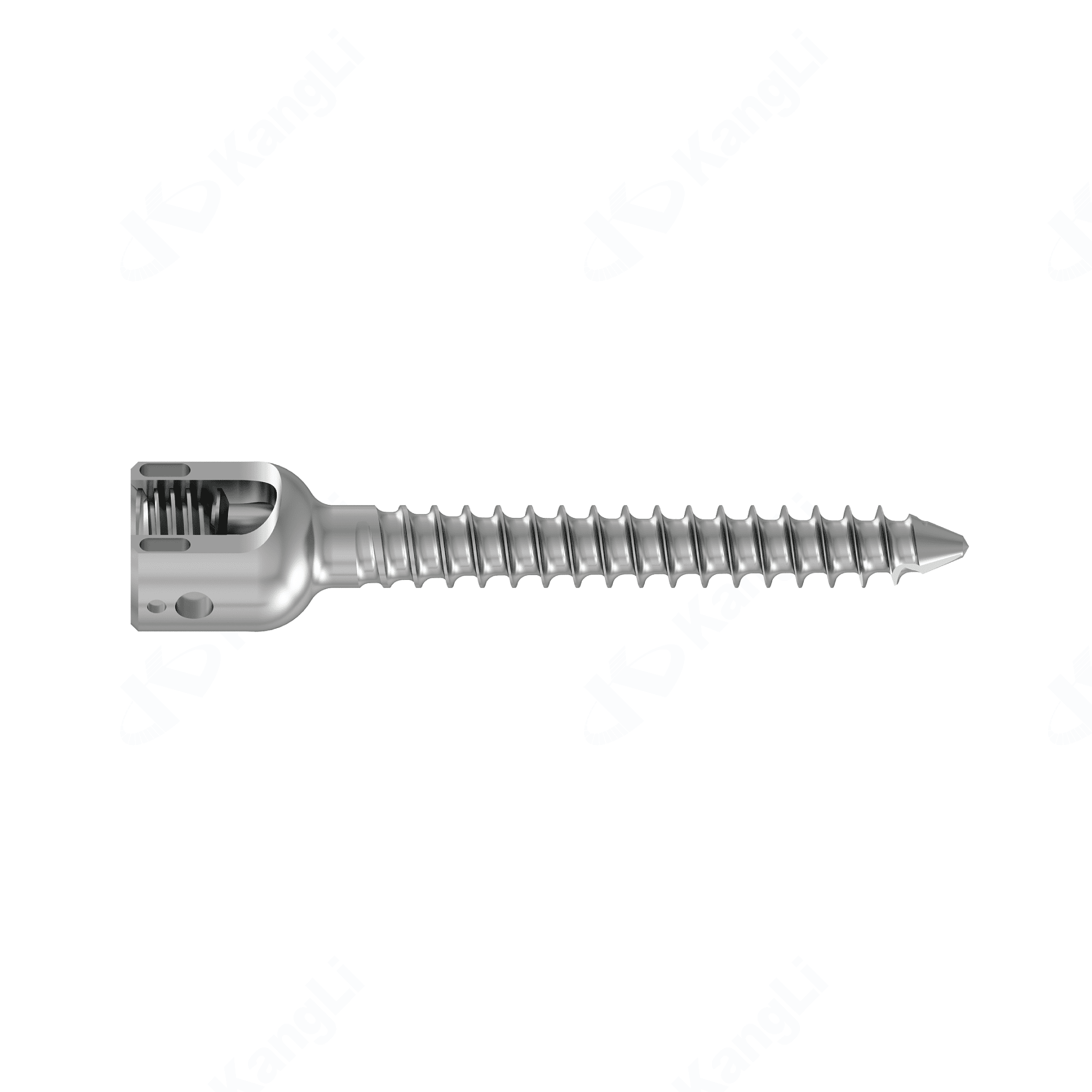 KSS-I 6.0 Spinal Fixation System - Torx – Image 2