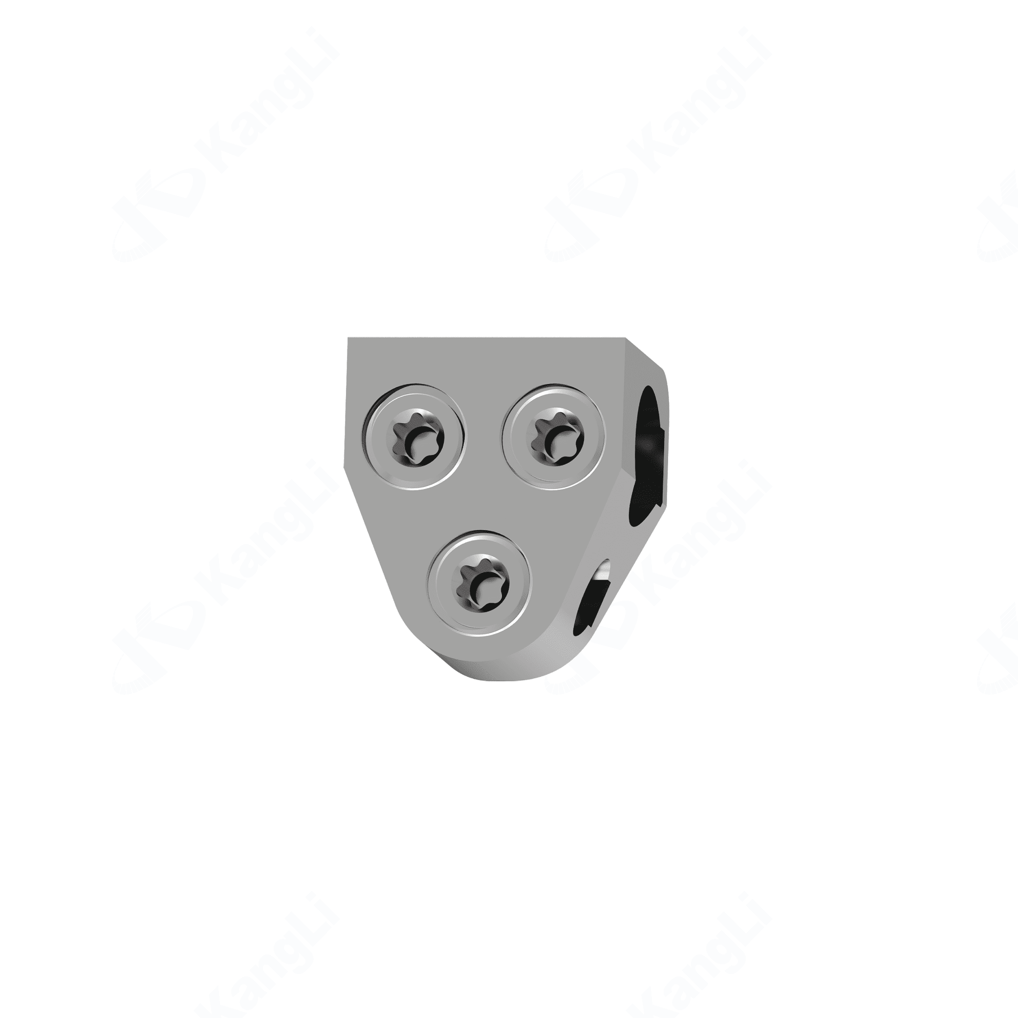 KLP Posterior Cervical Fixing System - Image 3